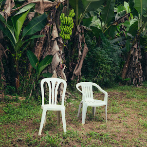 Nuevayol