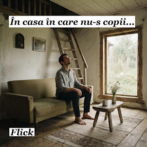Flick Domnul Rima — În Casa În Care Nu-S Copii
