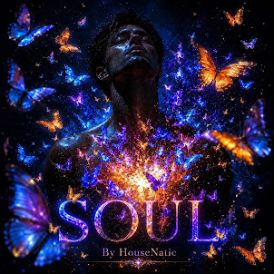 Housenatic — Soul