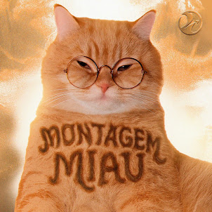 Lenar — Montagem Miau