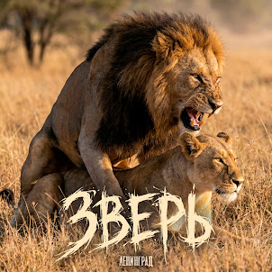 Ленинград — Зверь