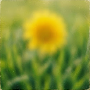 Leonid Rudenko — Дача