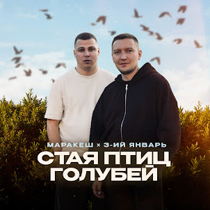 Маракеш — Стая Птиц Голубей (feat. 3-Ий Январь)