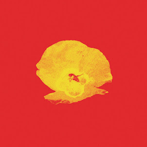 Moldanazar — Tek Seni Súıu
