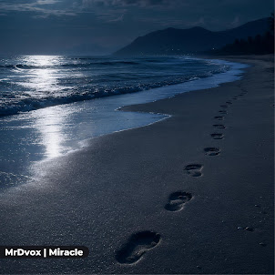 Mrdvox