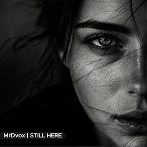 Mrdvox — Still Here