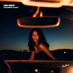 Palm Monkey — One Night (feat. Dalexo)
