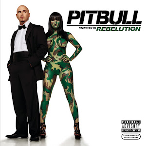 Pitbull — I Know You Want Me (Calle Ocho)