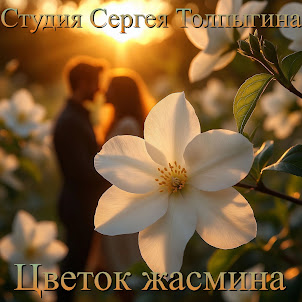 Студия Сергея Толпыгина — Цветок Жасмина