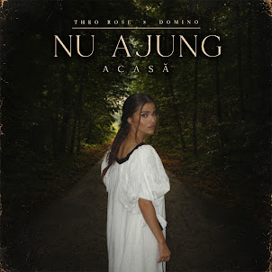 Theo Rose — Nu Ajung Acasă (feat. Domino)