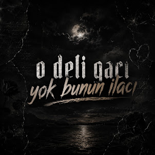 Tolga Karaoğlan