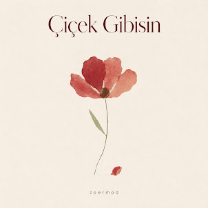 Zoermod — Çiçek Gibisin